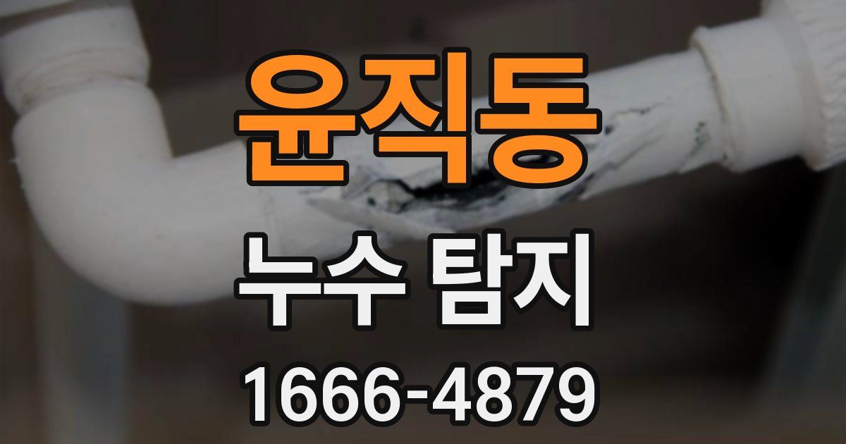 윤직동 누수 탐지