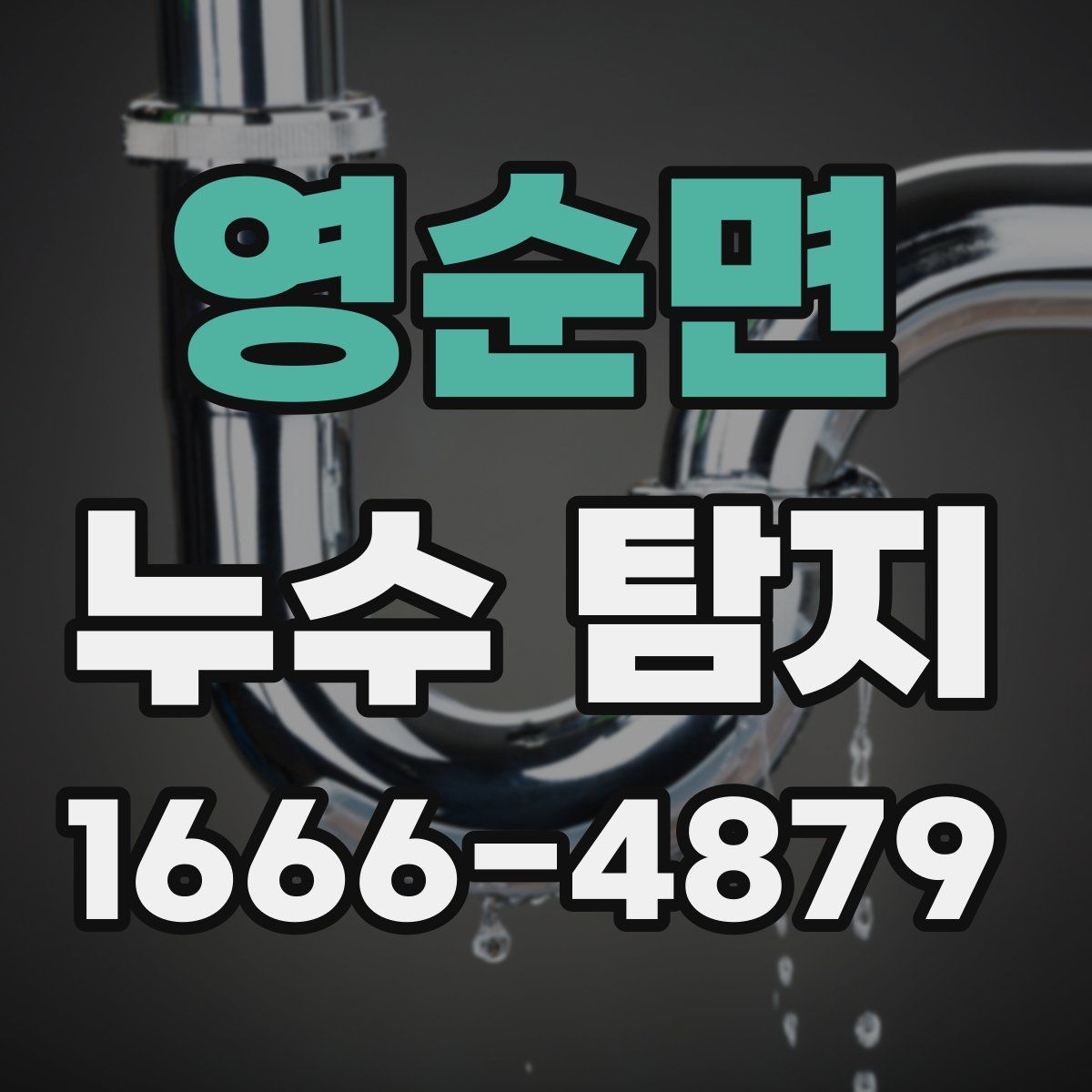 영순면 누수 탐지