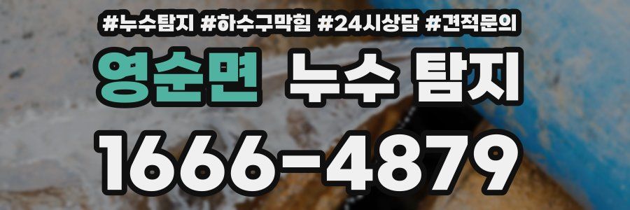 영순면 누수 탐지