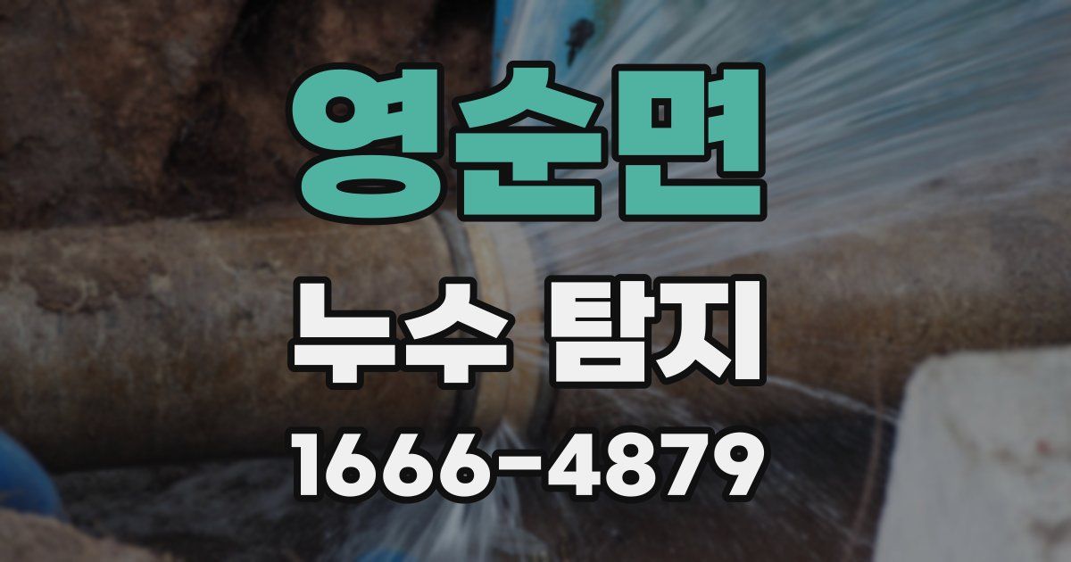 영순면 누수 탐지