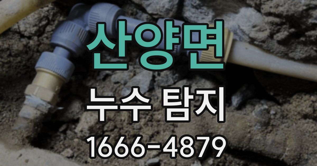 산양면 누수 탐지