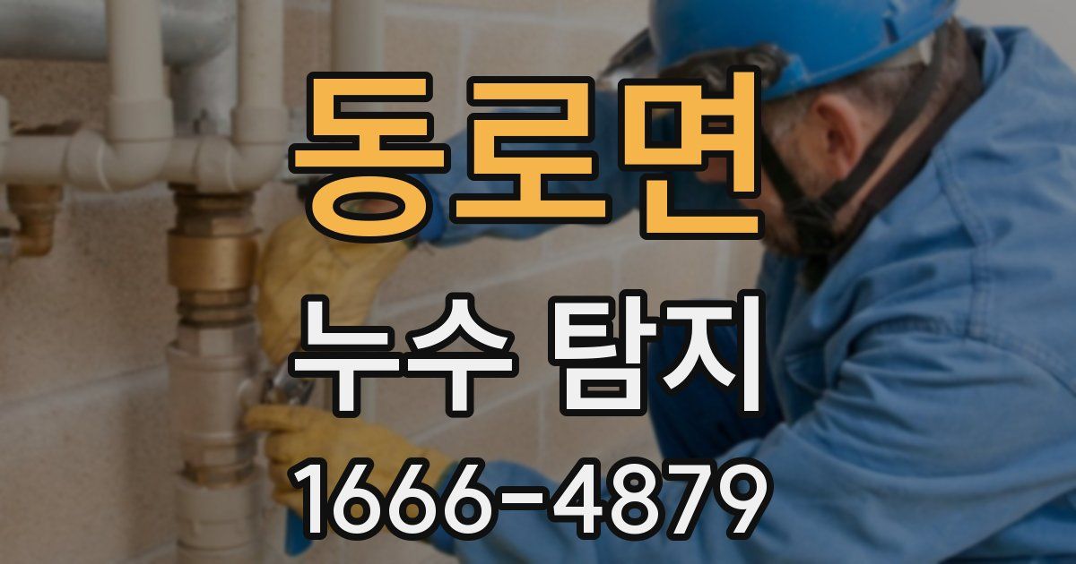 동로면 누수 탐지