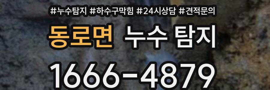 동로면 누수 탐지