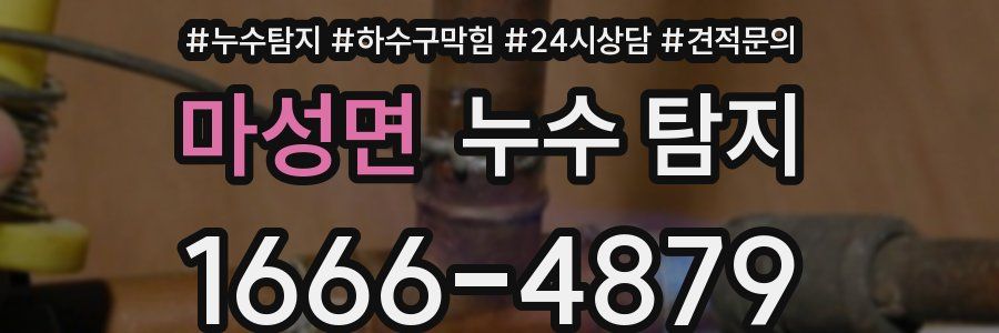 마성면 누수 탐지