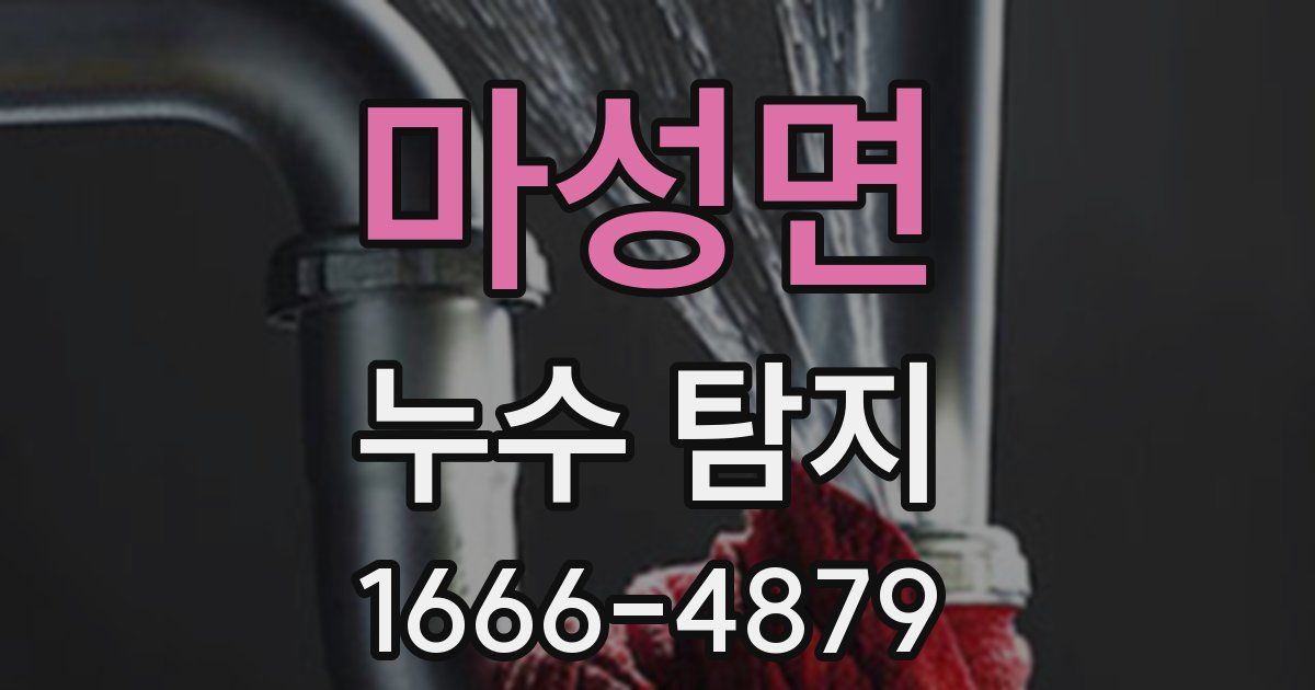 마성면 누수 탐지