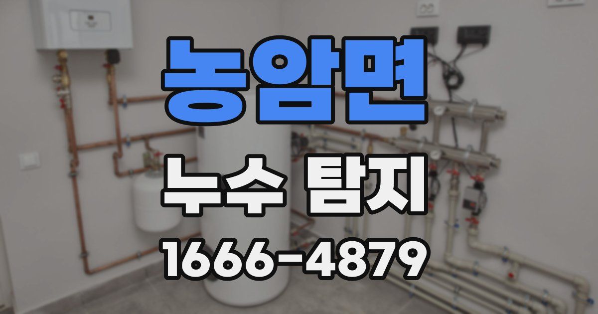 농암면 누수 탐지