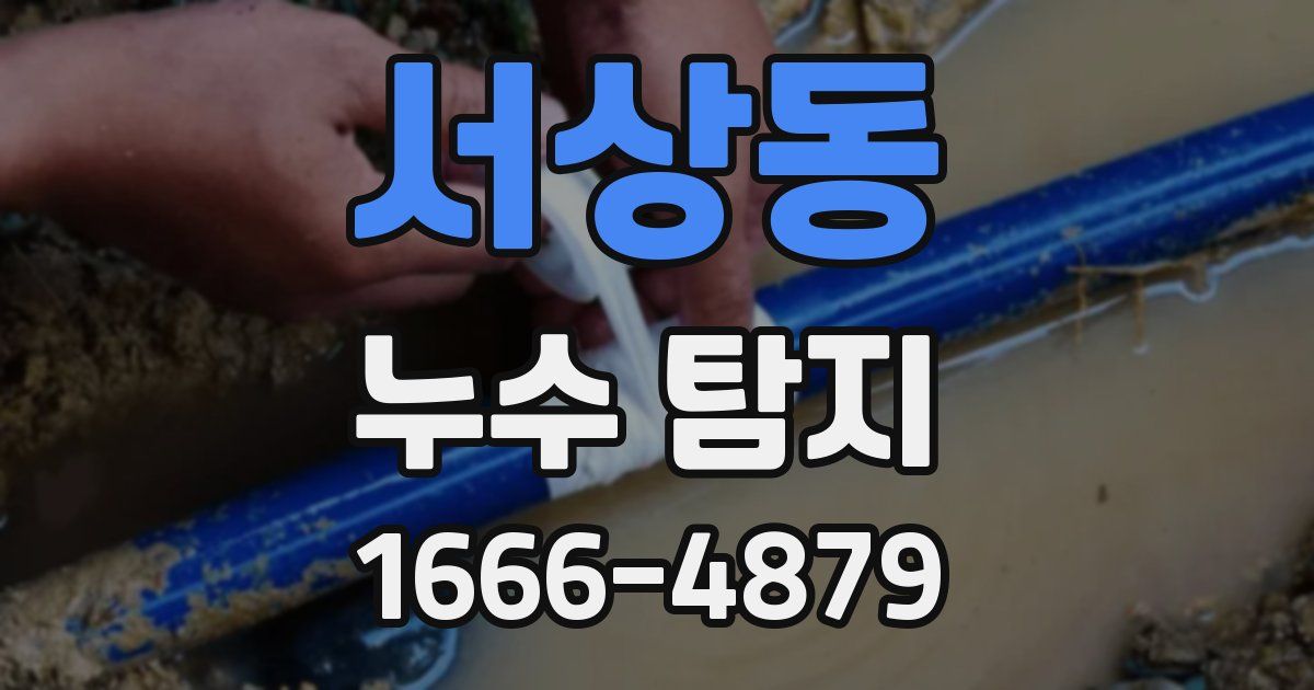 서상동 누수 탐지
