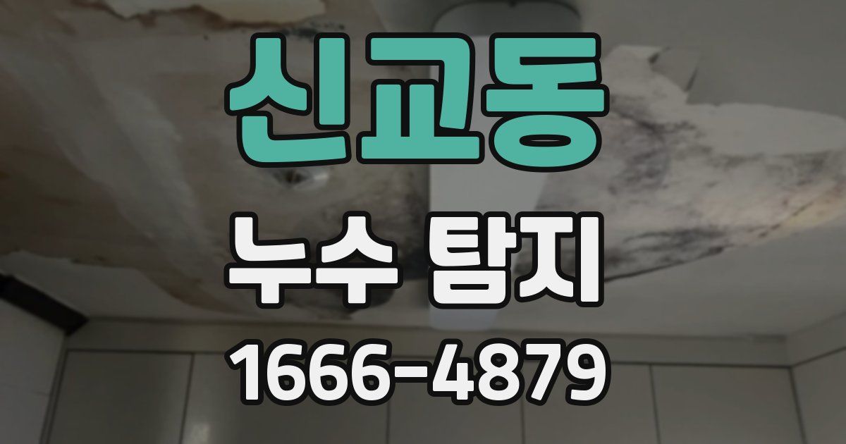 신교동 누수 탐지