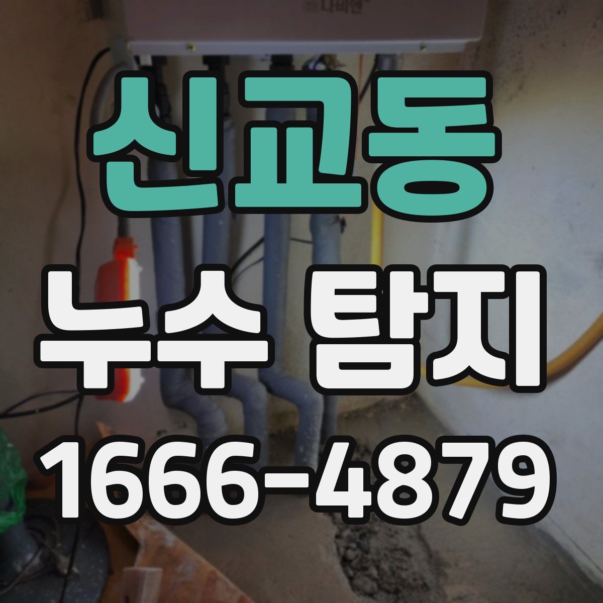 신교동 누수 탐지