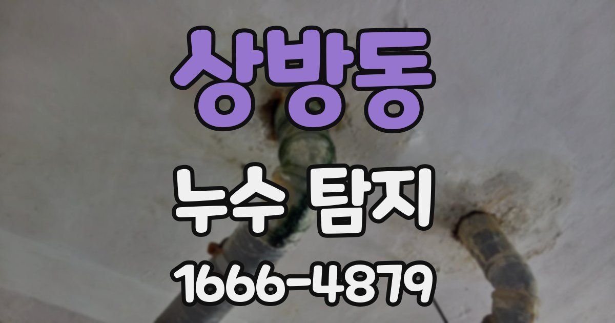 상방동 누수 탐지