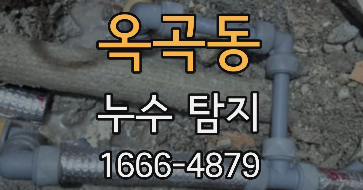 옥곡동 누수 탐지