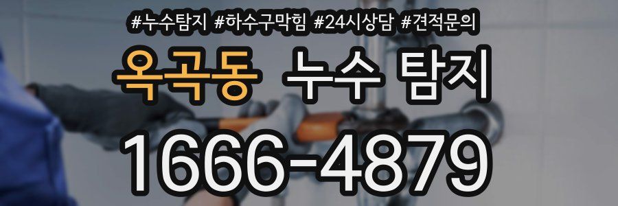 옥곡동 누수 탐지