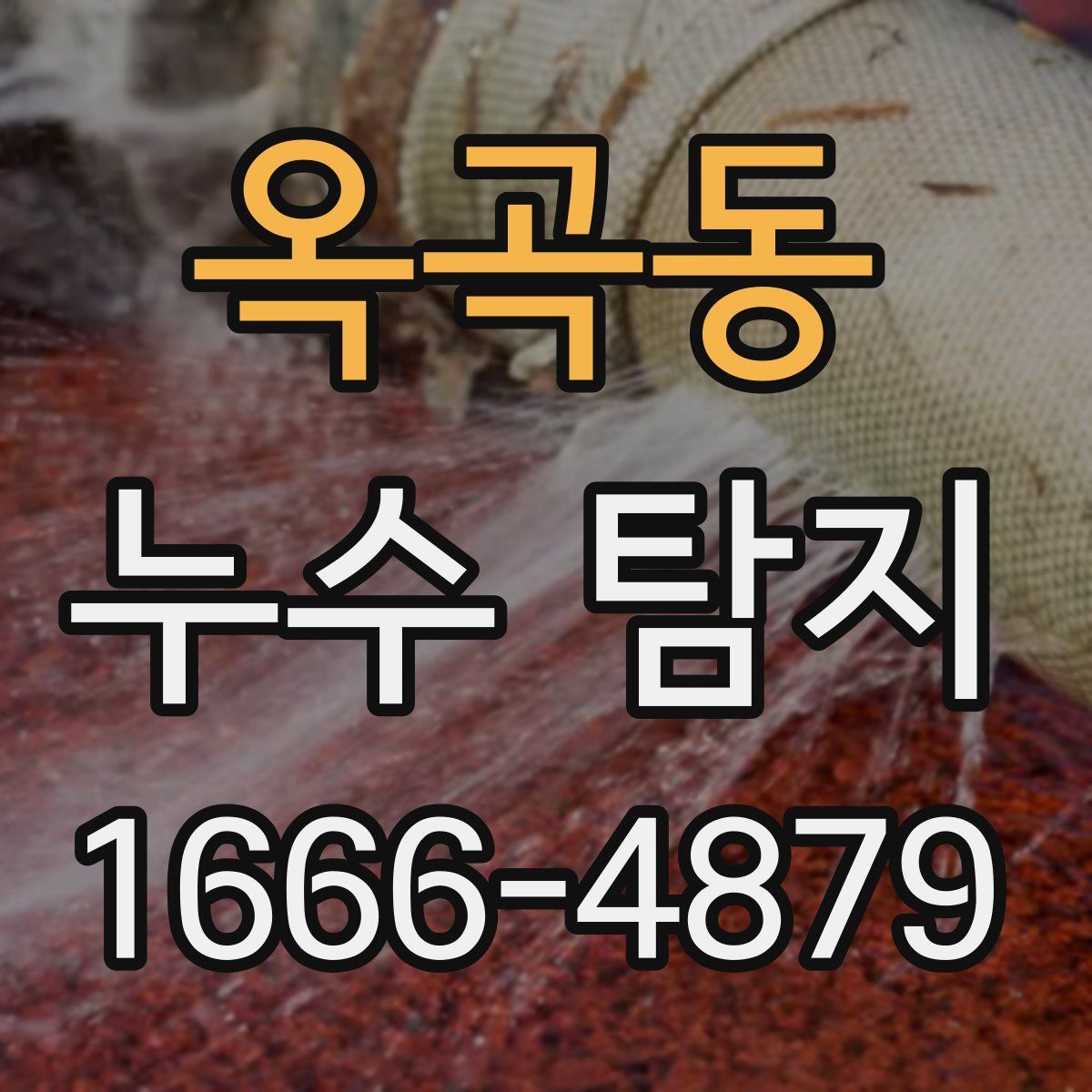 옥곡동 누수 탐지