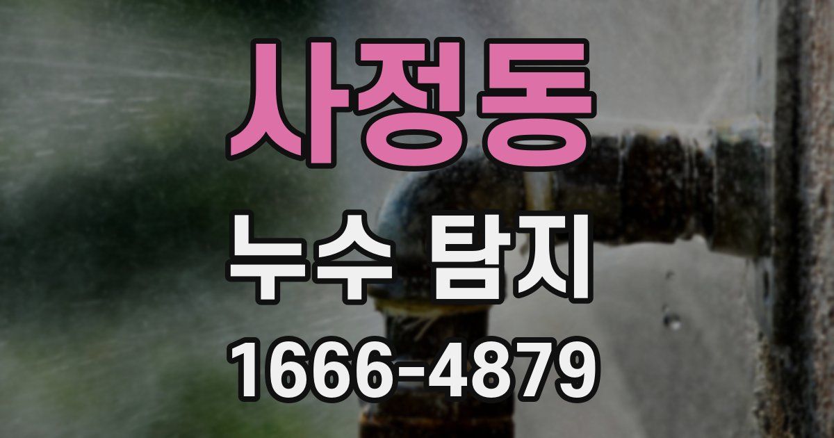 사정동 누수 탐지