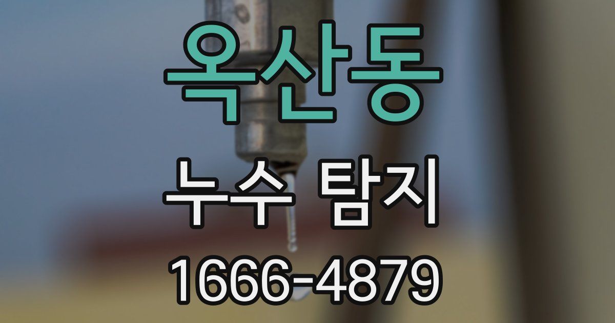 옥산동 누수 탐지