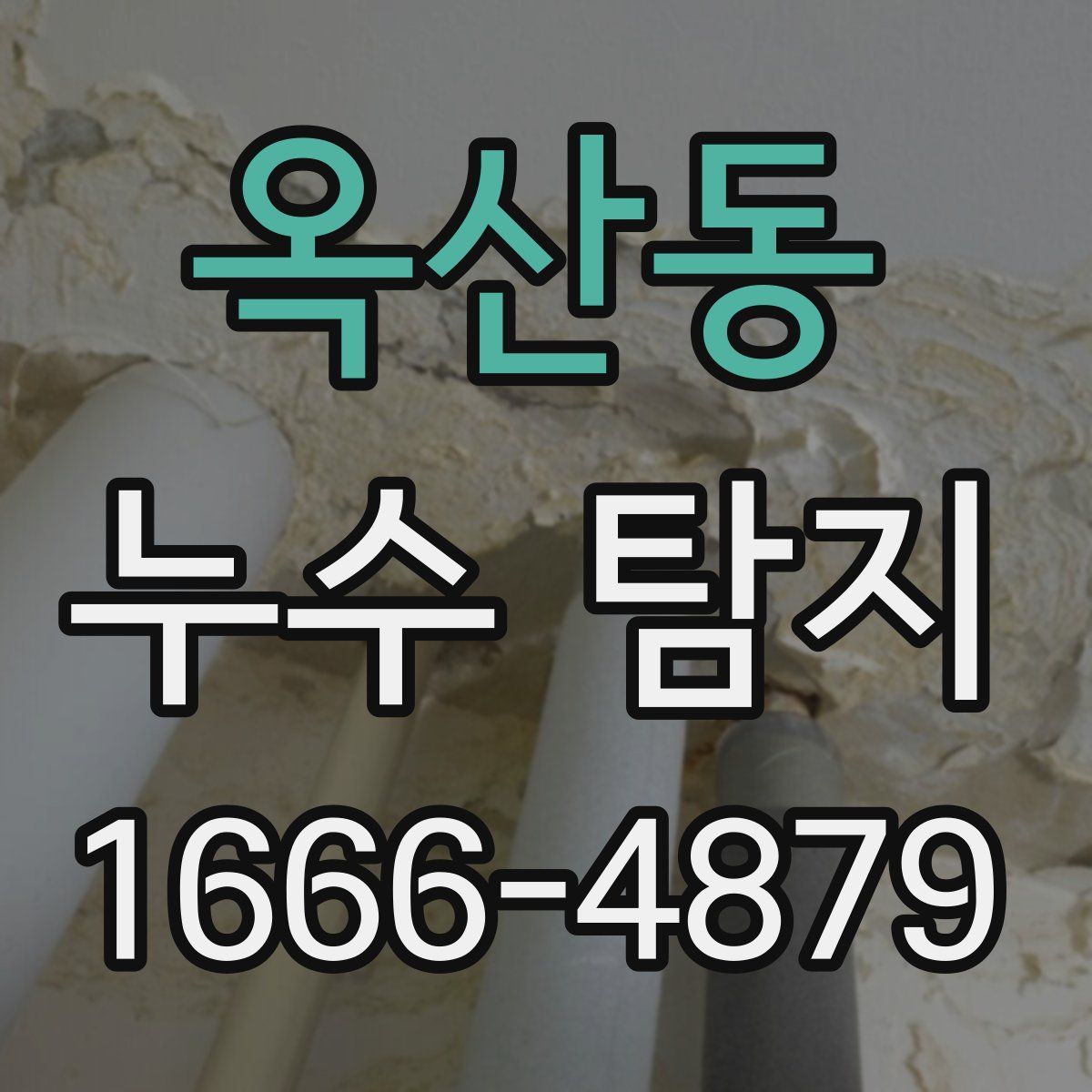 옥산동 누수 탐지
