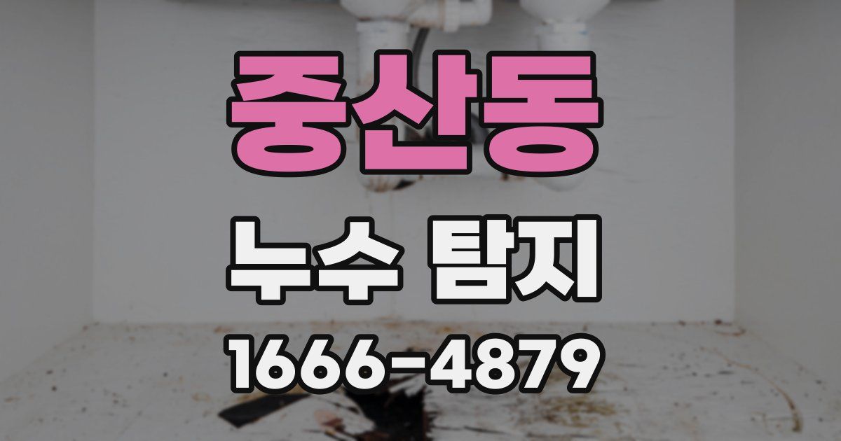 중산동 누수 탐지