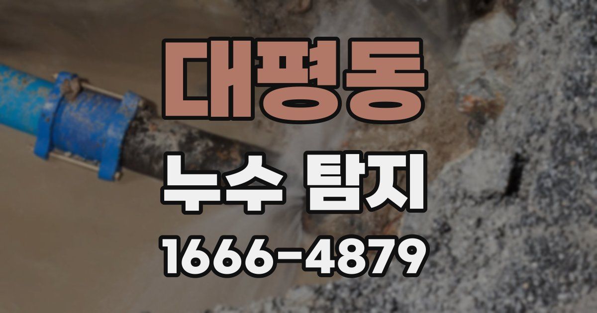 대평동 누수 탐지