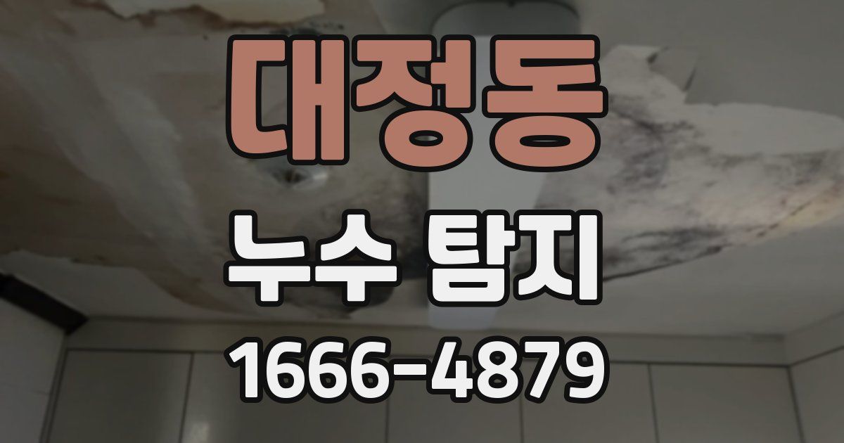 대정동 누수 탐지