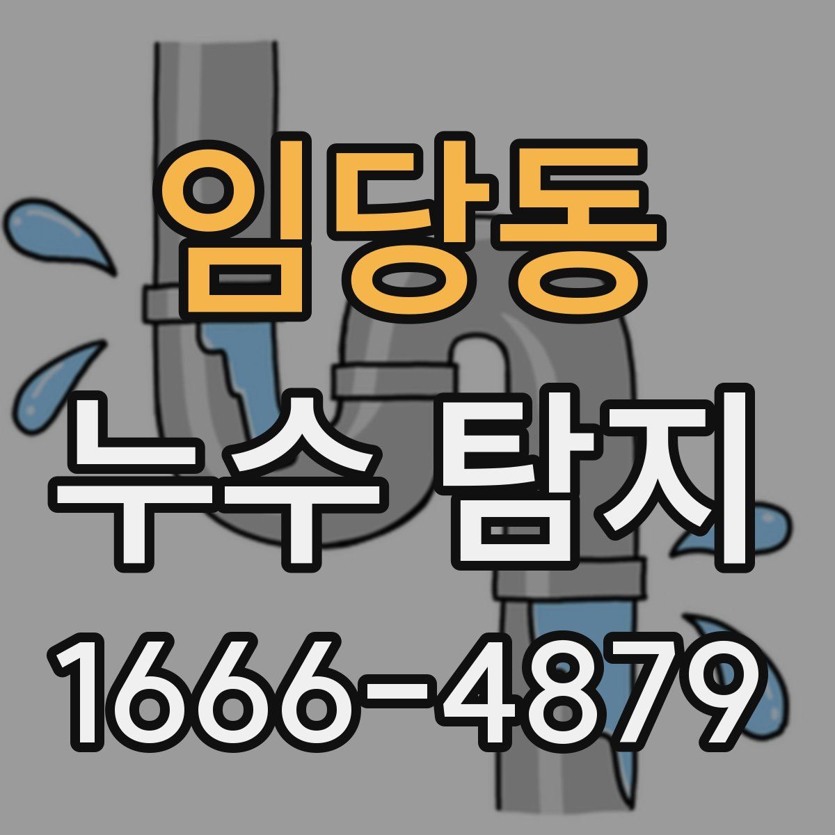 임당동 누수 탐지