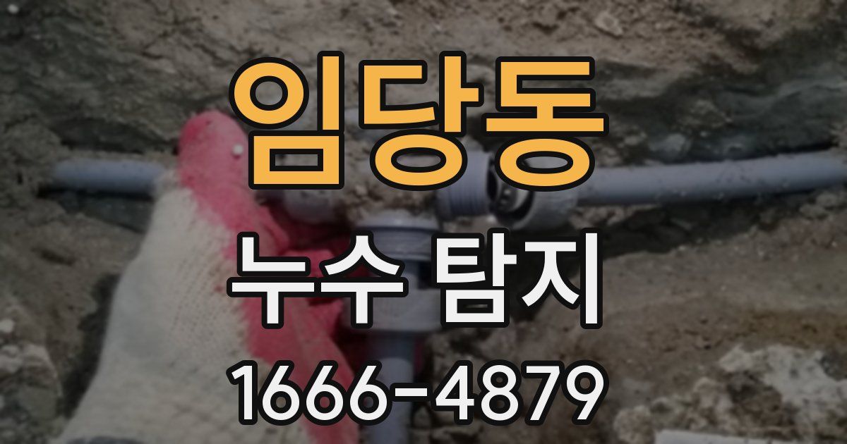 임당동 누수 탐지