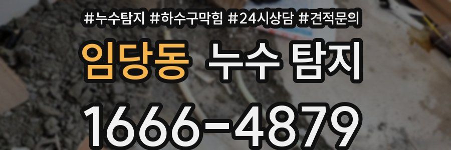 임당동 누수 탐지