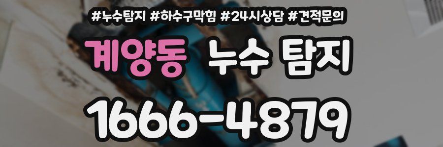 계양동 누수 탐지