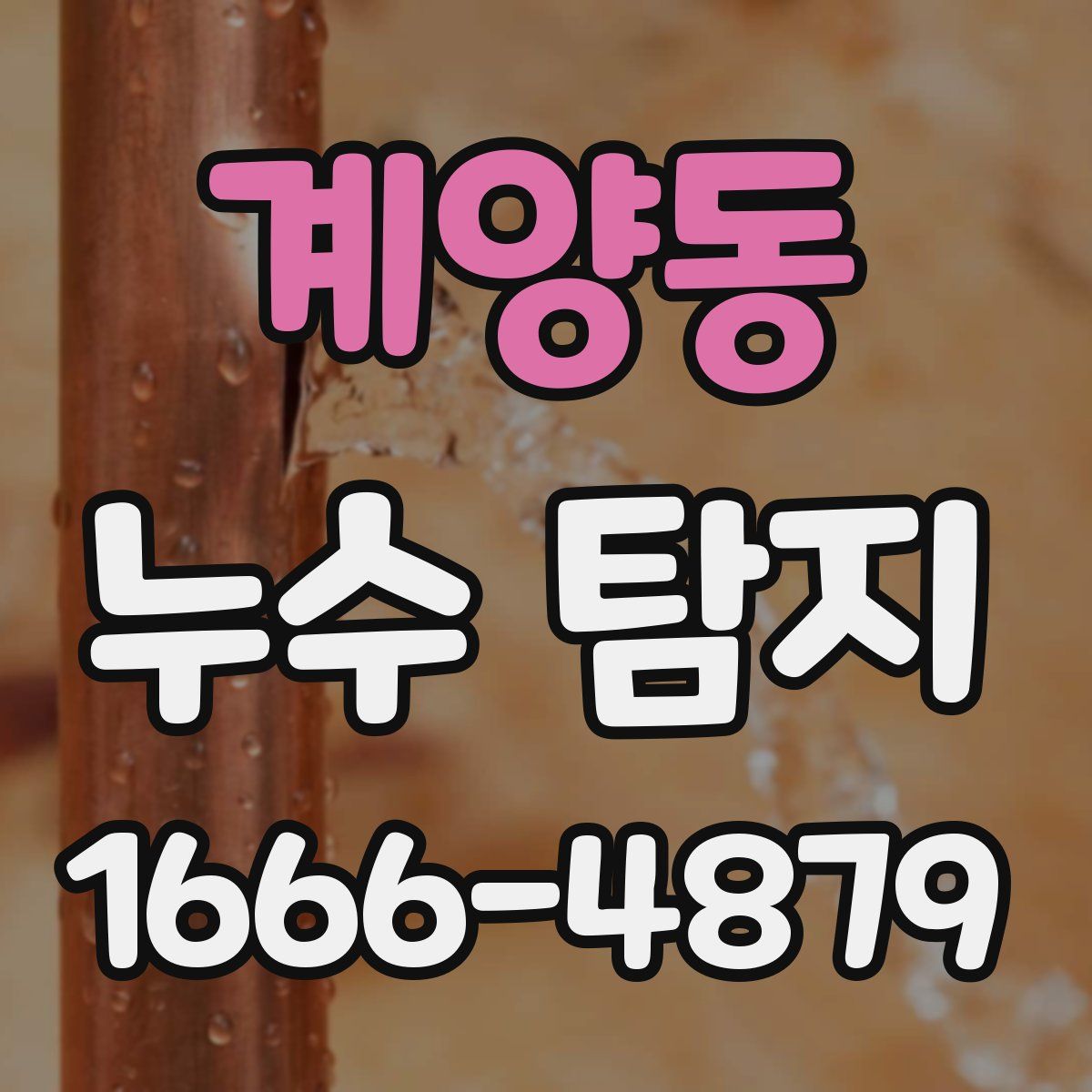 계양동 누수 탐지