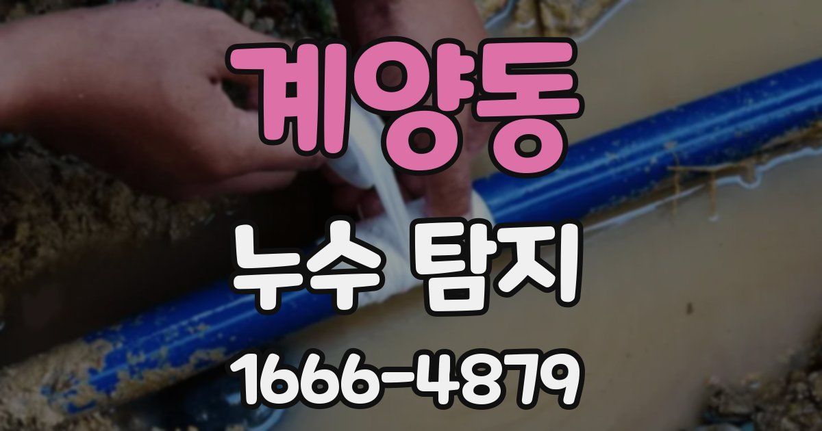 계양동 누수 탐지