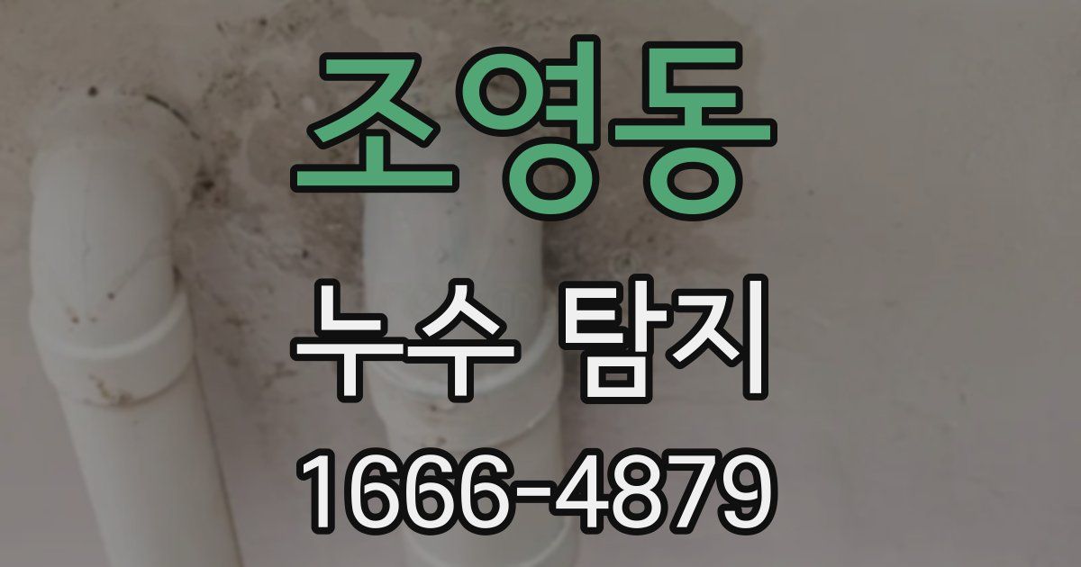 조영동 누수 탐지