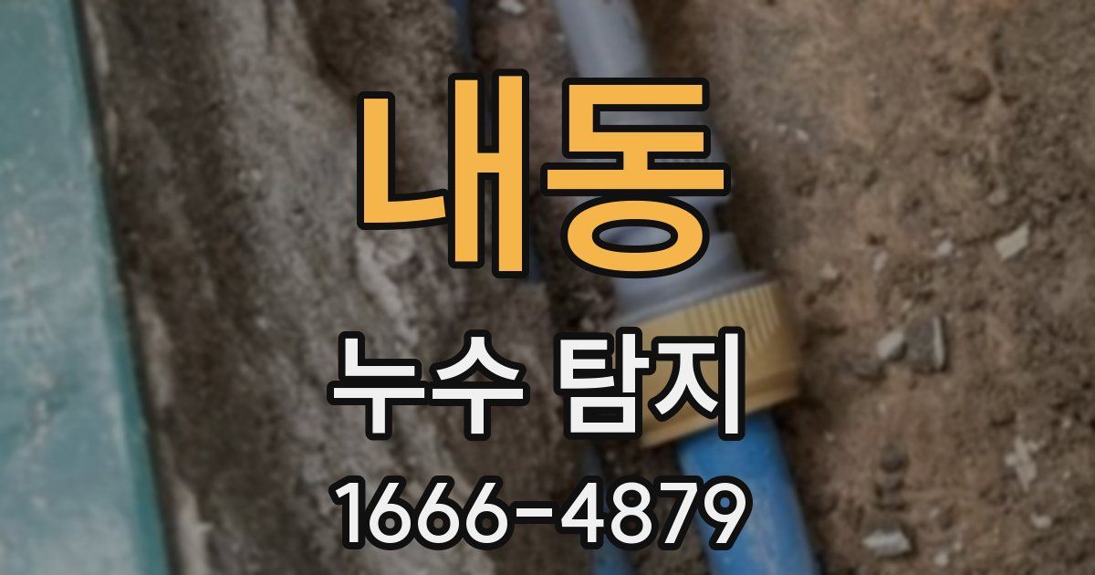 내동 누수 탐지