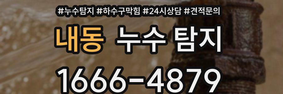 내동 누수 탐지