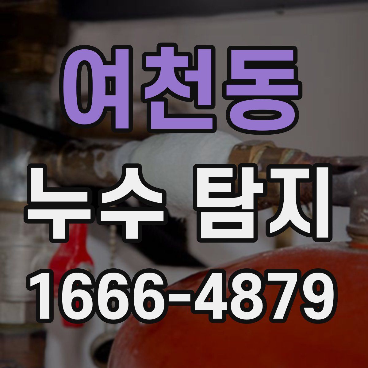 여천동 누수 탐지