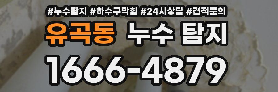 유곡동 누수 탐지