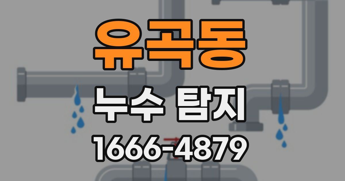 유곡동 누수 탐지