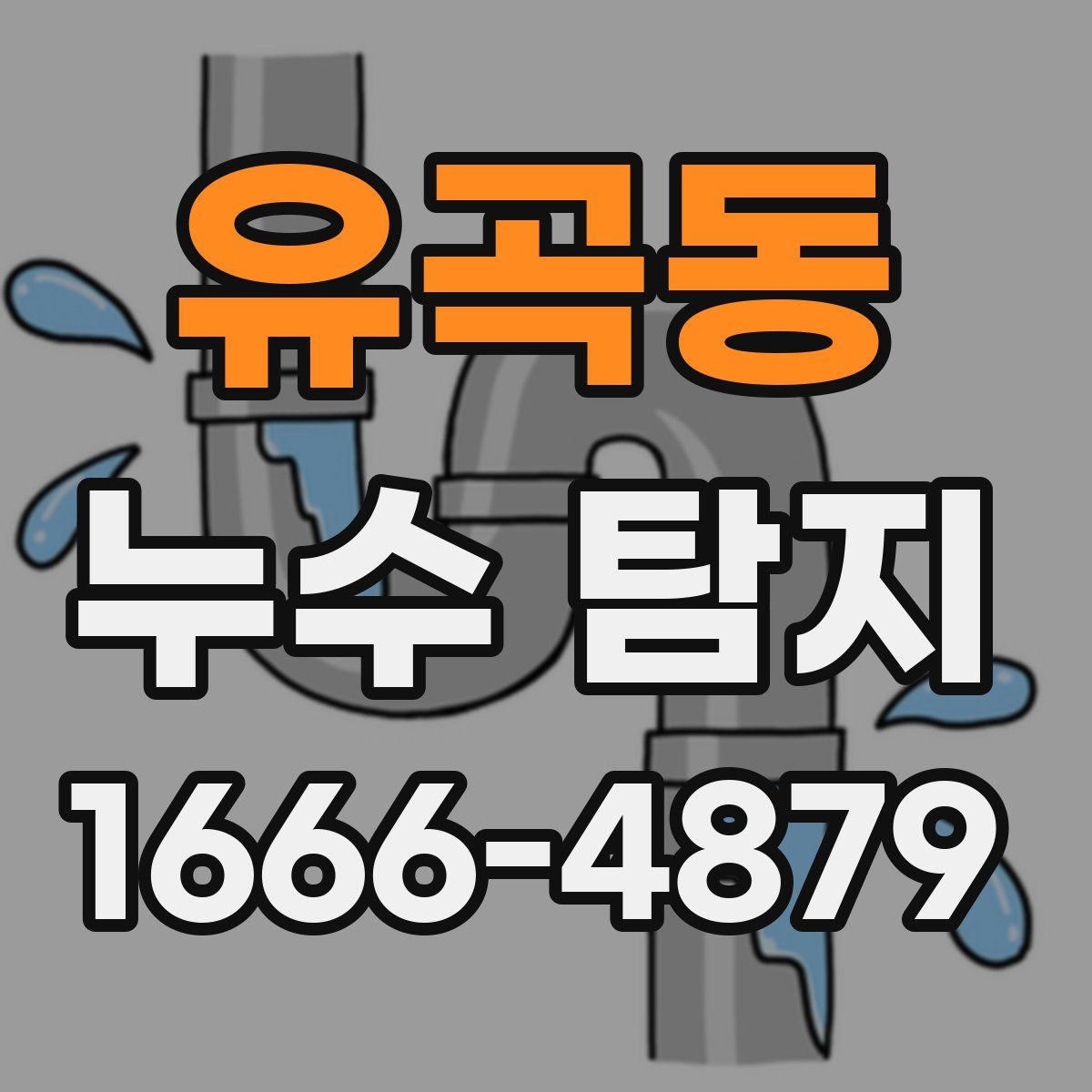 유곡동 누수 탐지