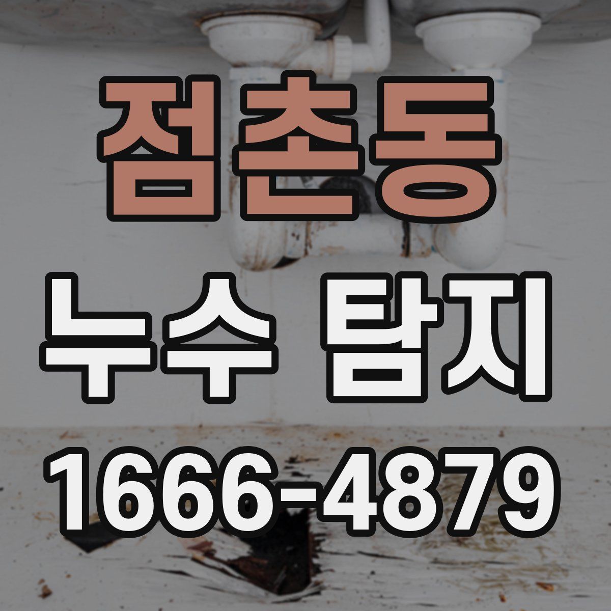 점촌동 누수 탐지