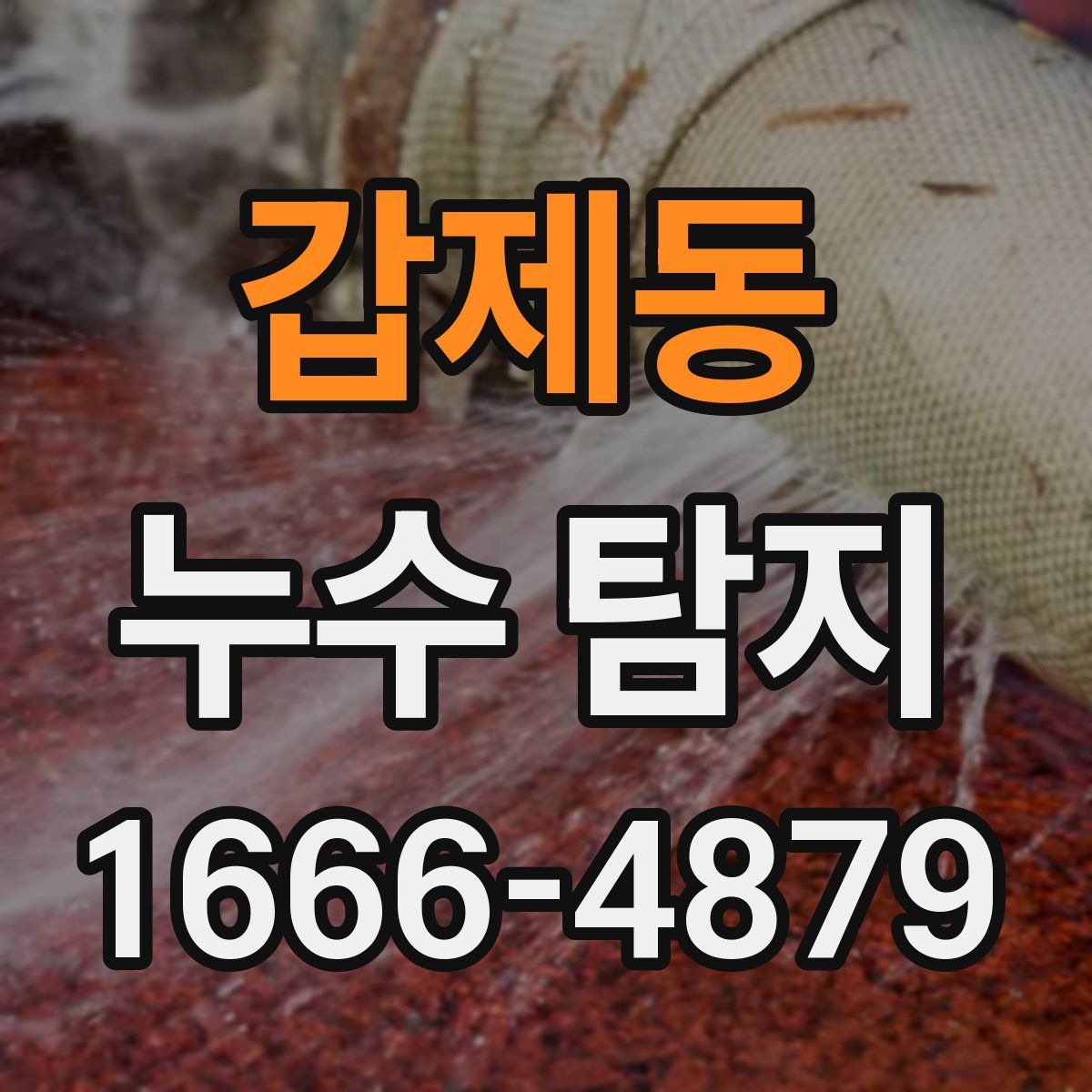 갑제동 누수 탐지