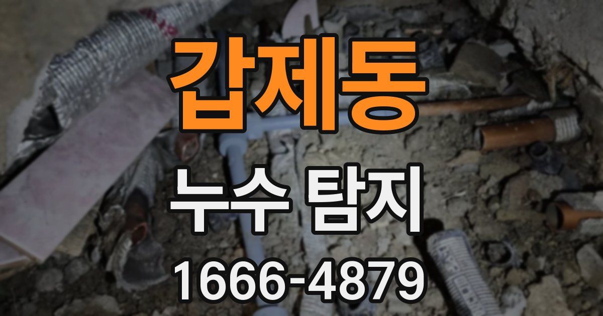 갑제동 누수 탐지
