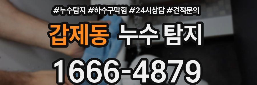 갑제동 누수 탐지