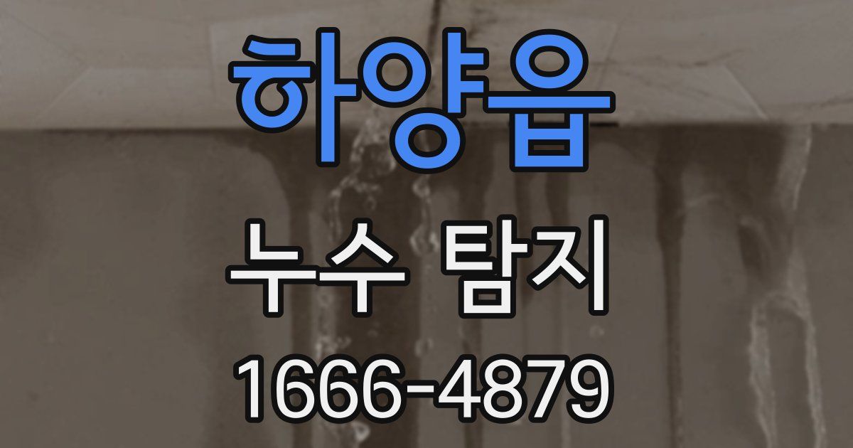 하양읍 누수 탐지