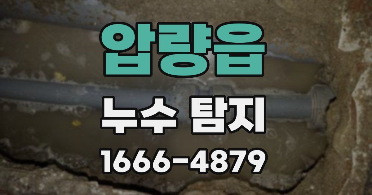 압량읍 누수 탐지