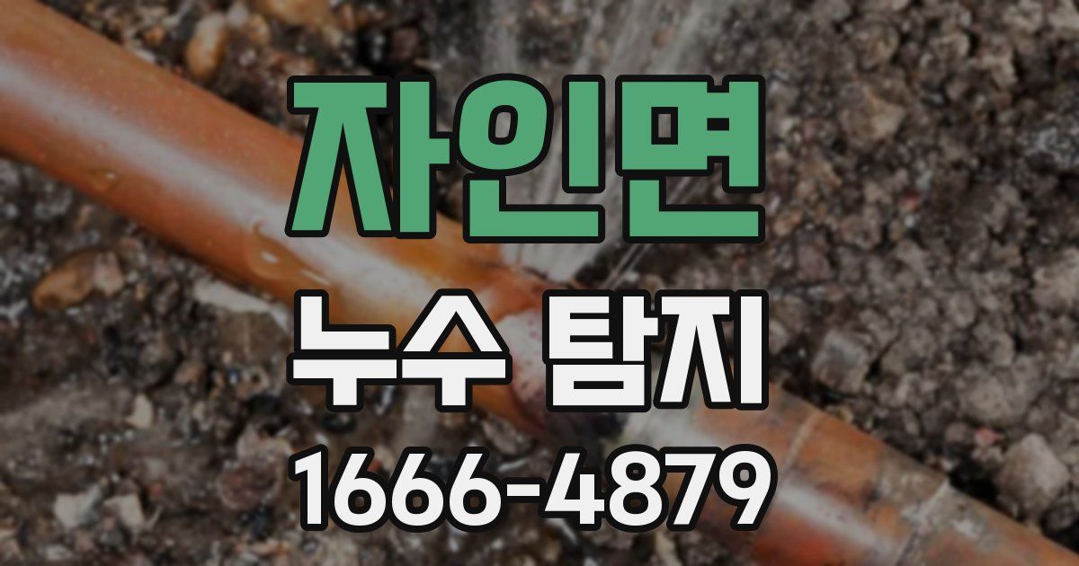 자인면 누수 탐지