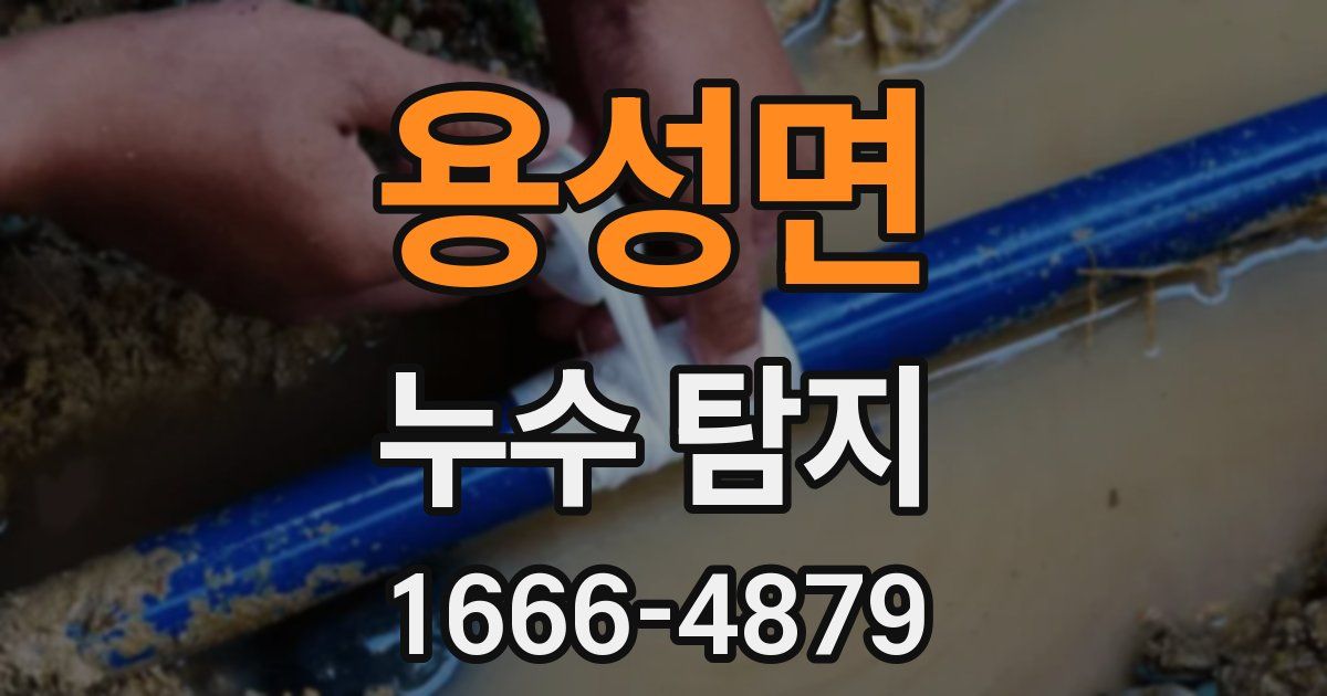 용성면 누수 탐지
