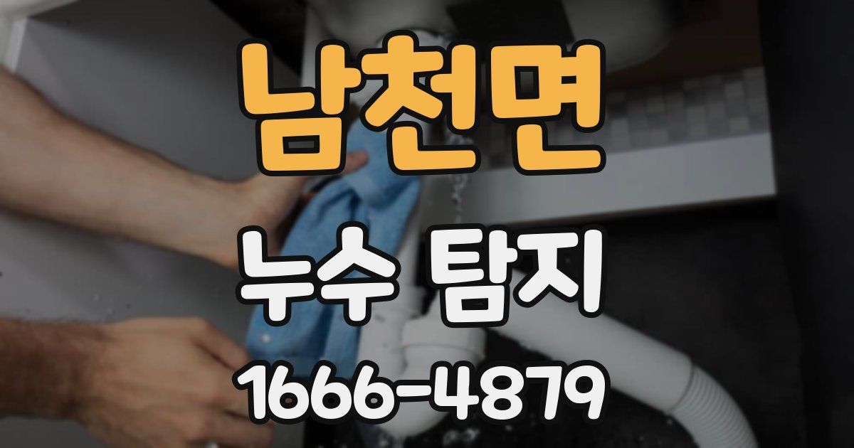 남천면 누수 탐지