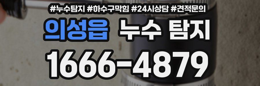 의성읍 누수 탐지