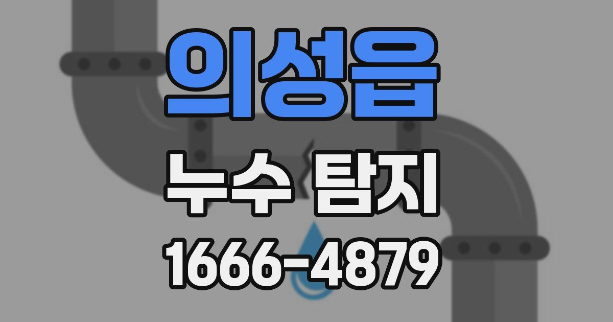 의성읍 누수 탐지
