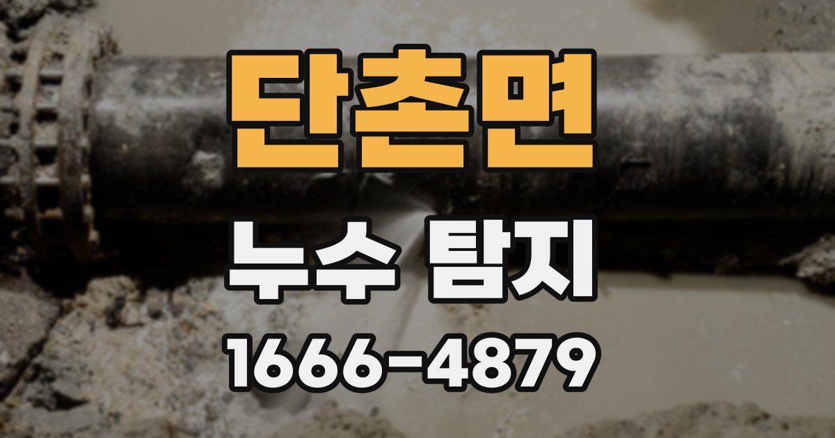 단촌면 누수 탐지