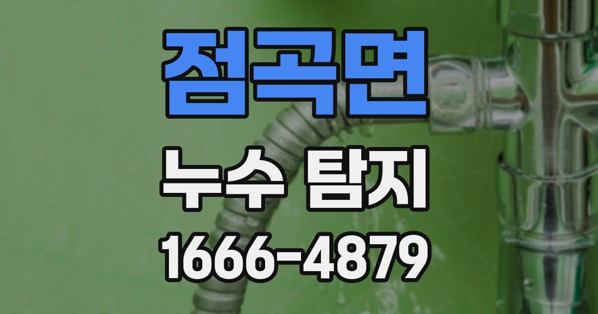 점곡면 누수 탐지