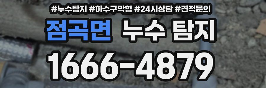 점곡면 누수 탐지
